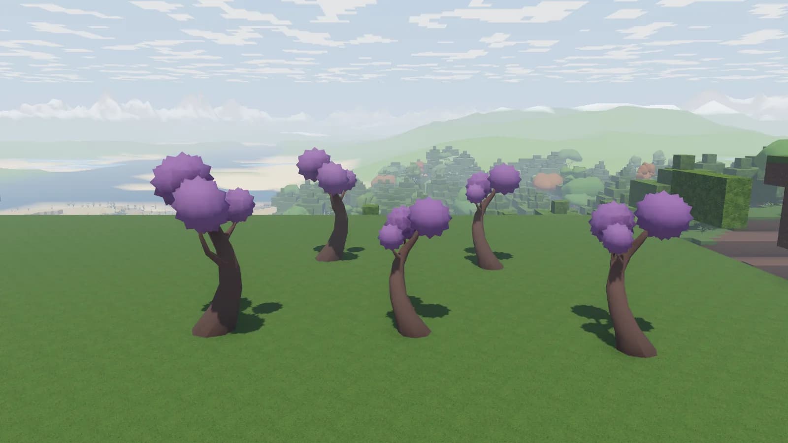 A grove of purple-blossomed trees on open grass with green ranges behind